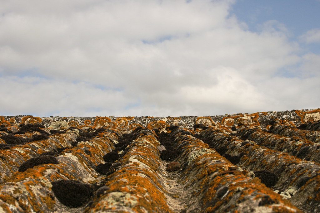 Traitement toiture avec mousse incrustée